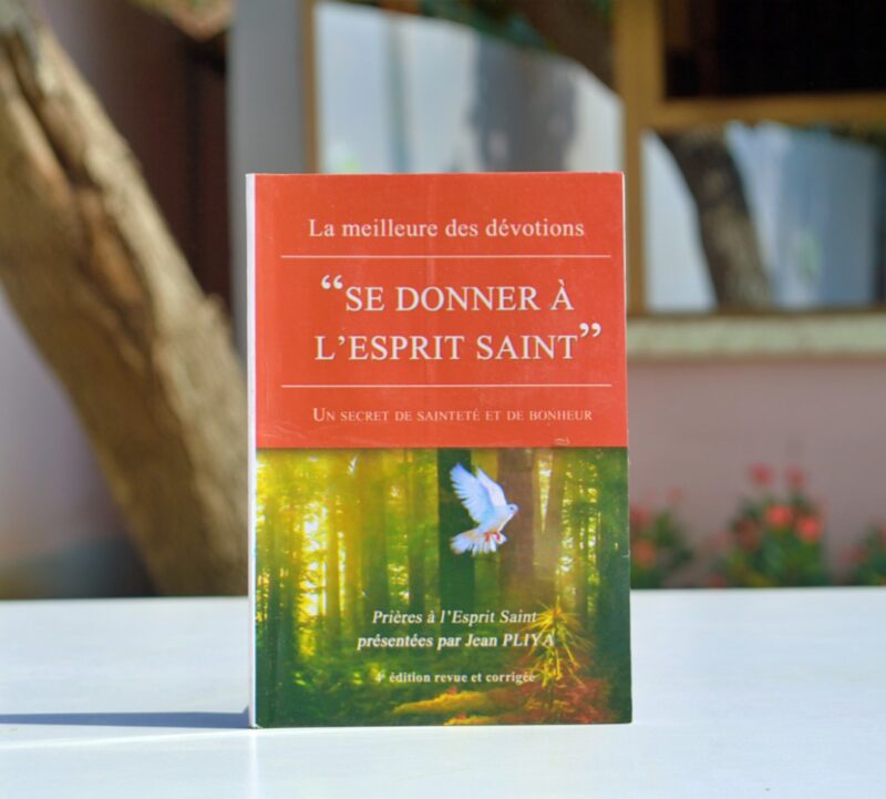 SE DONNER A L'ESPRIT SAINT